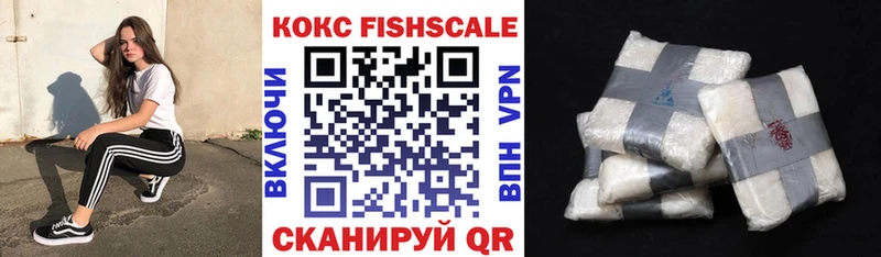 купить наркотики сайты  Сковородино  КОКАИН Эквадор 