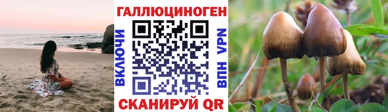 Галлюциногенные грибы мицелий  shop наркотические препараты  Сковородино  mega ссылка 
