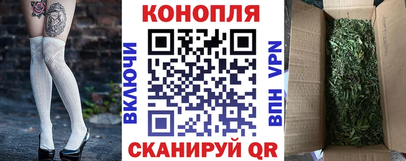 Бошки Шишки план  Сковородино 